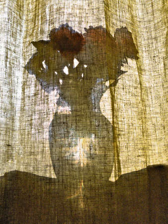 Flowers in Vase behind curtainの写真素材
