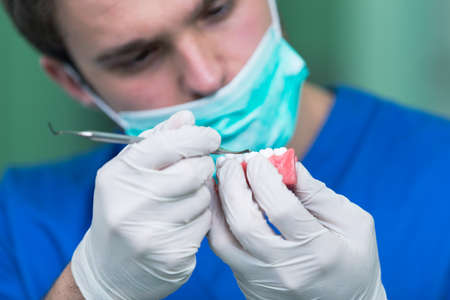 Dental prosthesis, dentures, prosthetics work. Prosthetics hands while working on the denture, false teeth, a study and a table with dental tools.の写真素材