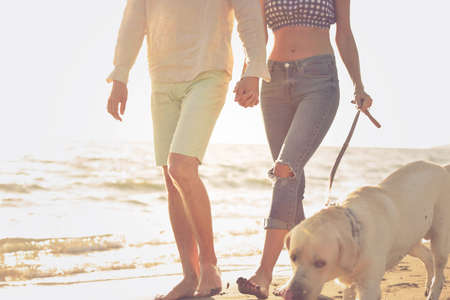 Portrait of a happy couple with dogs at the beachの写真素材
