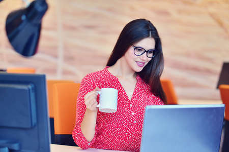 Successful business woman working at the office