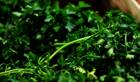 Buying Parsley at the Farmers Marketの写真素材