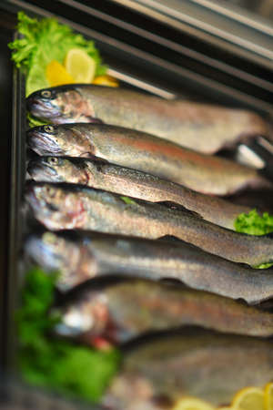 Fresh fish in the marketの写真素材