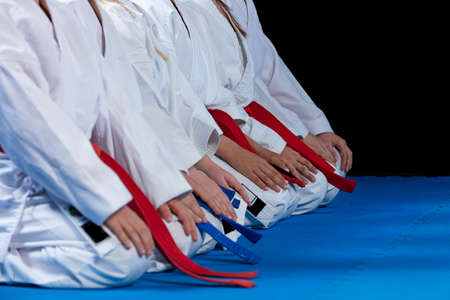 young, beautiful, successful multi ethical karate kids in karate position.の写真素材