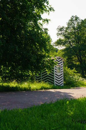 wild green parkの写真素材