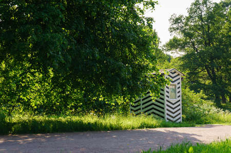 wild green parkの写真素材