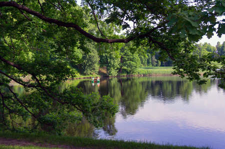 Wild green parkの写真素材