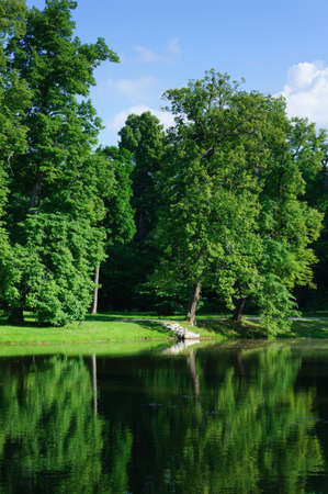 Wild green parkの写真素材