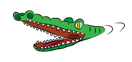 Hungry crocodile with open mouth, full of sharp teeth, swiming in watter.のイラスト素材