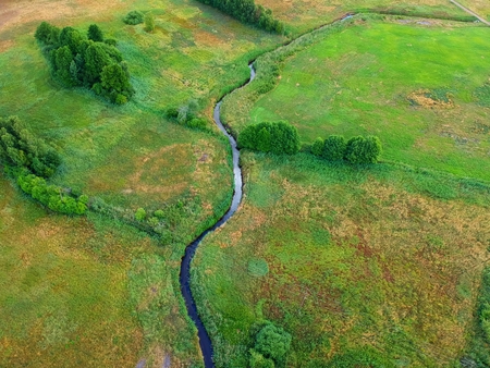 River flows through the green meadow with trees, aerial view.の写真素材