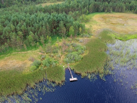 Old wooden platform on calm lakem forest and reed, aerial view.の写真素材