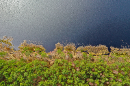Aerial view on lake shore with green forest at beginning of springの写真素材