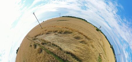 Aerial drone 180 degree panoramic view on damaged wheat field after wind storm, rural landscape.