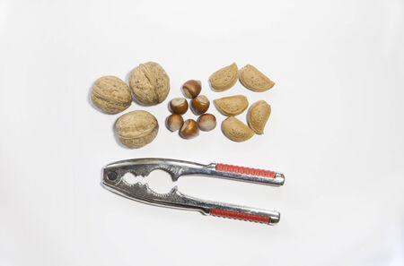 Various walnuts, almonds, hazelnuts on white background