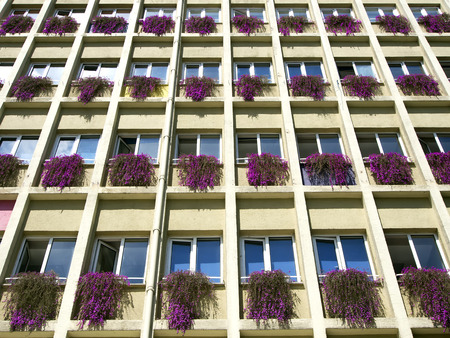 The facade of a building with flowering windows  のeditorial素材
