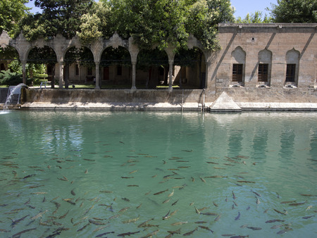 The Balikli Gol (also called the Holy Pool of Prophet Abraham), located in the center of Urfa - Turkeyの写真素材