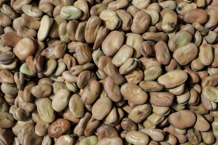 Broad beans or fava beans as a background. Dry bakla close-up - traditional ingredient of turkish...