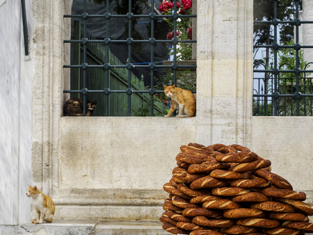 Turkish bagel (simit) and cats in the mosque garden, Turkish traditions. Istanbul, Turkeyのeditorial素材