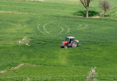 Tractor plows in agricultural field. Weed removal to plant roots. Cultivation of an agricultural crop field. Plowing landの写真素材