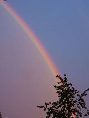natural phenomenon, rainbow, rainy day, landscapeのeditorial素材