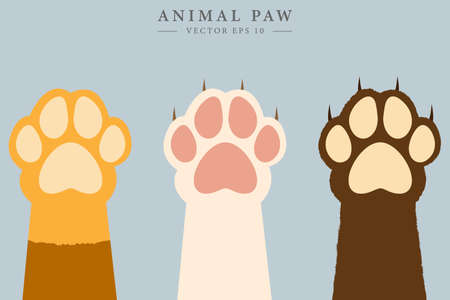 Colorful animal paws. Animal claw concept. Vector drawing.のイラスト素材