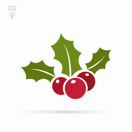 Holly berry Christmas icon. Mistletoe berries. Vector illustration isolated on white backgroundのイラスト素材