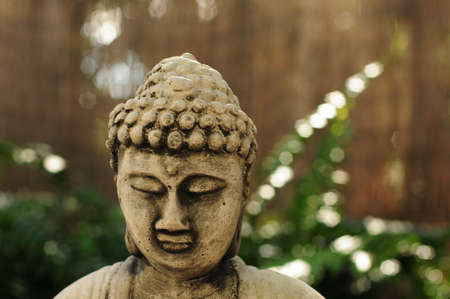 Serene Buddha meditating with green and brown backgroundの写真素材