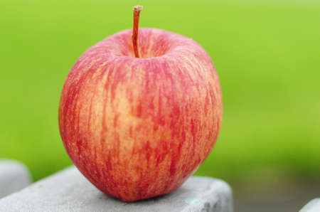 Fresh red organic apple with outdoor background