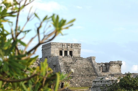 Ancient Mayan Ruins in Mexicoの写真素材