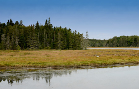 Autumn image of Acadia National Park in New England, Maineの写真素材