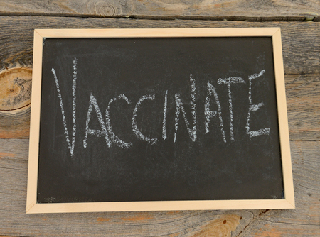 Vaccinate written in chalk on a chalkboard on a rustic backgroundの写真素材