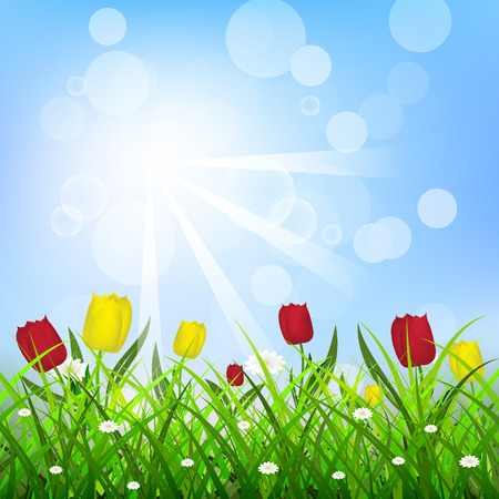 Floral background with sunlight, tulips and green grassのイラスト素材
