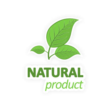 Natural product. Green leaves on a white background. Vector illustration.のイラスト素材