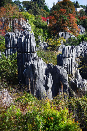 China's Yunnan Shilin sceneryの写真素材