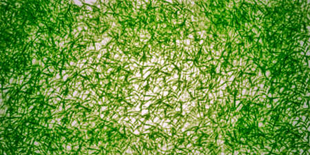 Abstract texture spotted pattern painting green color background for design elements
