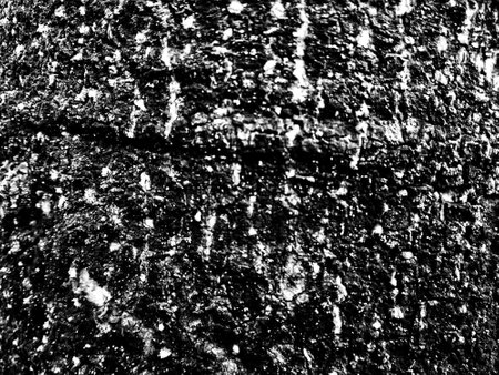 Abstract background. Monochrome texture. Image includes a effect the black and white tones.