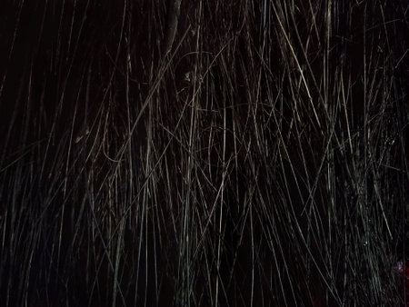 Close up of a broomstick as a background. Abstract background.の写真素材