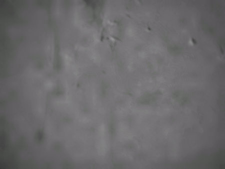 grunge background with space for text or image, gray cement wallの写真素材