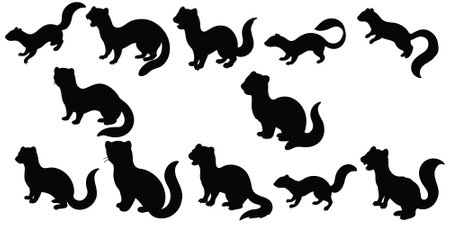 Set of animal silhouettes isolated on white background. Vector illustration.のイラスト素材