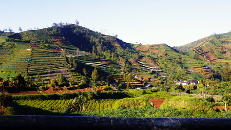 Nature view of Dieng, Indonesiaの写真素材
