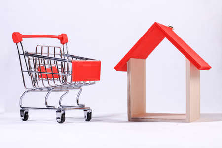 Miniature house on white background