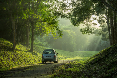 Sintok, Kedah Malaysia - 12 Sept 2020 : Sun ray in forest with car, Ray of light in in green forest with carのeditorial素材
