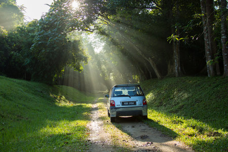 Sintok, Kedah Malaysia - 12 Sept 2020 : Sun ray in forest with car, Ray of light in in green forest with carのeditorial素材