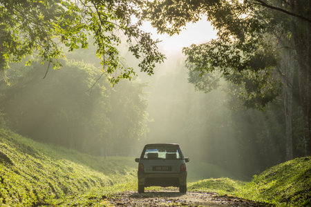 Sintok, Kedah Malaysia - 12 Sept 2020 : Sun ray in forest with car, Ray of light in in green forest with carのeditorial素材