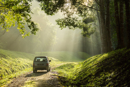 Sintok, Kedah Malaysia - 12 Sept 2020 : Sun ray in forest with car, Ray of light in in green forest with carのeditorial素材