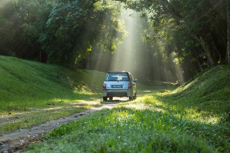 Sintok, Kedah Malaysia - 12 Sept 2020 : Sun ray in forest with car, Ray of light in in green forest with carのeditorial素材