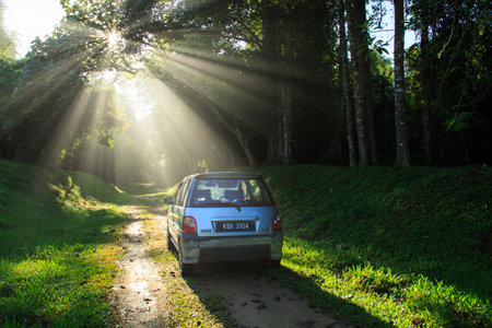 Sintok, Kedah Malaysia - 12 Sept 2020 : Sun ray in forest with car, Ray of light in in green forest with carのeditorial素材