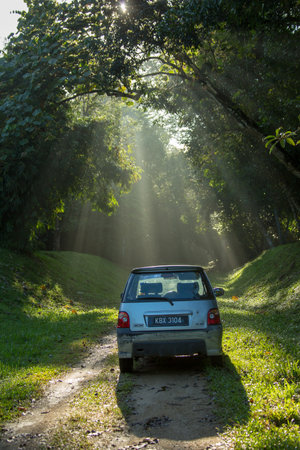 Sintok, Kedah Malaysia - 12 Sept 2020 : Sun ray in forest with car, Ray of light in in green forest with carのeditorial素材