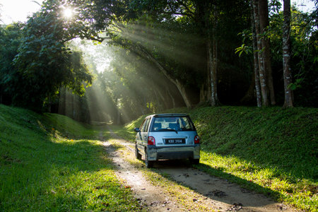 Sintok, Kedah Malaysia - 12 Sept 2020 : Sun ray in forest with car, Ray of light in in green forest with carのeditorial素材