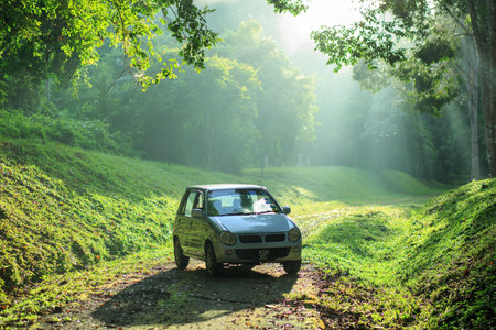 Sintok, Kedah Malaysia - 12 Sept 2020 : Sun ray in forest with car, Ray of light in in green forest with carのeditorial素材