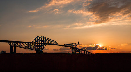 Silhouette of a bridge over the river in the sunset.